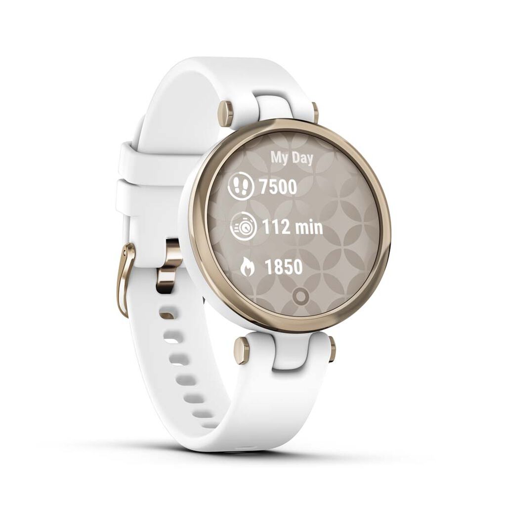 Montre Connectée Garmin Lily