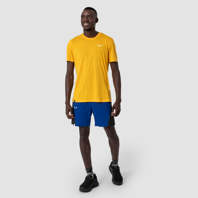 Salewa Herren Pedroc DST Wo Shorts