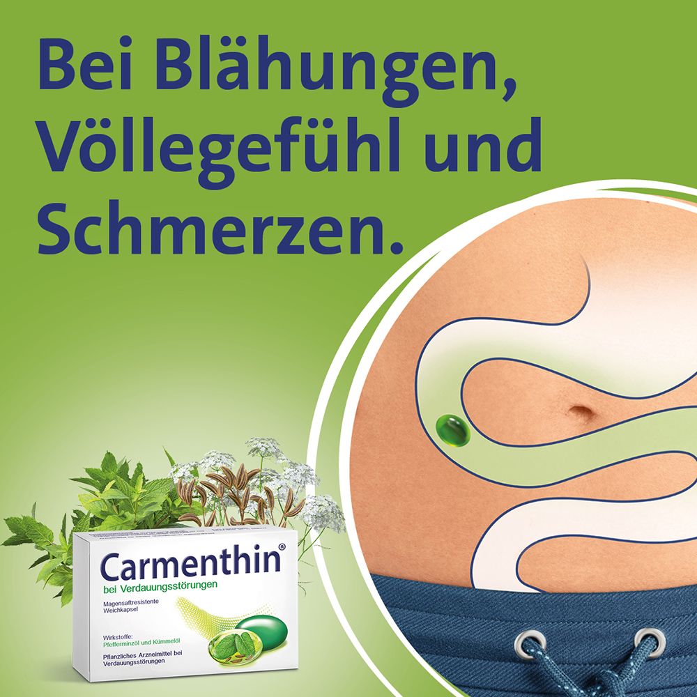 Carmenthin® bei Verdauungsstörungen