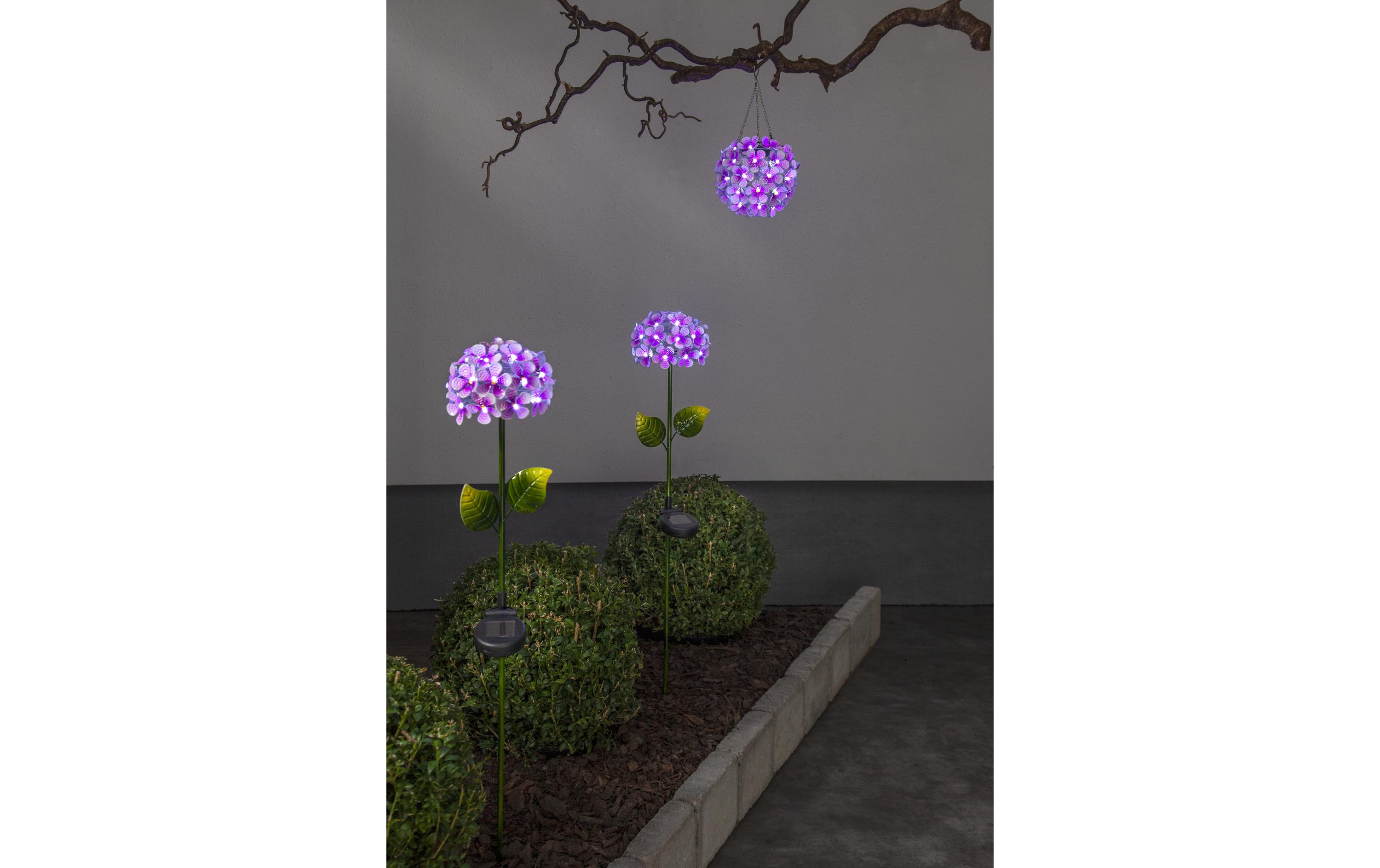 Gartenlicht Solar Hortensia, PinkHortensienblüte Dekoleuchte