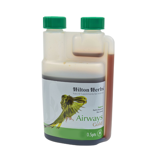 Hilton Herbs Airways Gold for Birds
