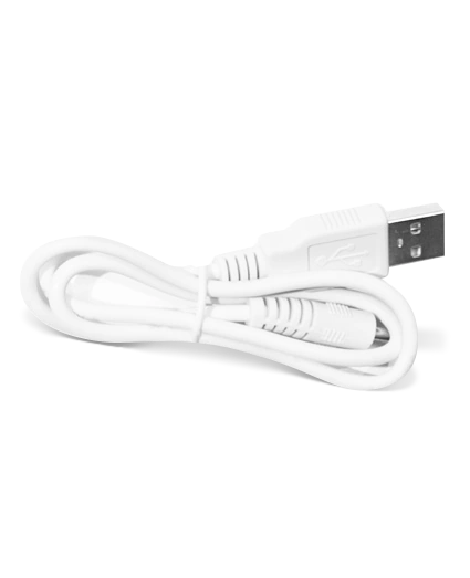 Replacement charger