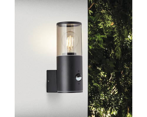 Sensorgestuurde buitenwandlamp, 1-lichts, Sergioro, zwart/gerookt glas