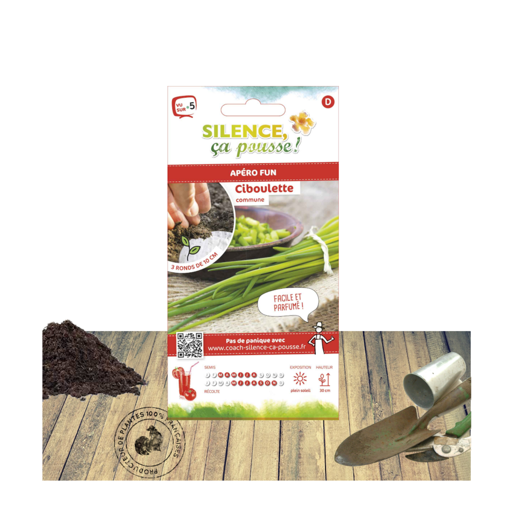 Graines de ciboulette/allium schoenoprasum[-]présemée
