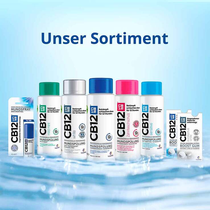 CB12 Mundspüllösung, 500 ml