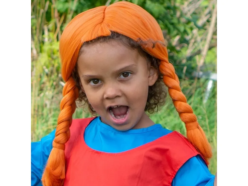 Pippi Paryk