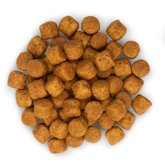 Croquettes chien adulte de grande taille au poulet - 18 kg