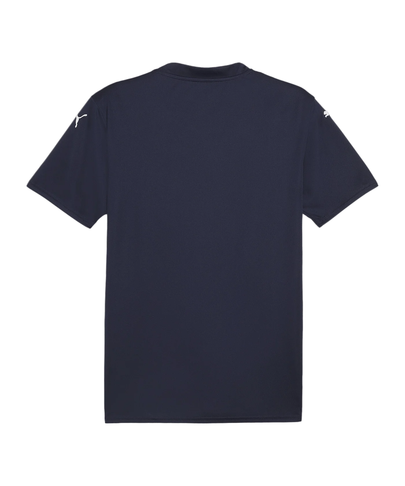 PUMA teamGLORY Trikot Blau Weiss Blau F06