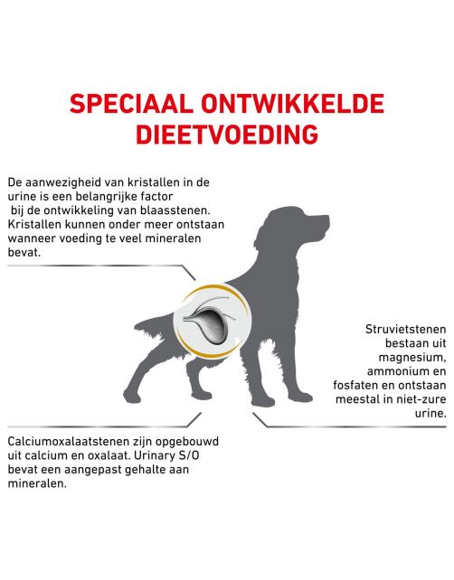 Royal Canin Veterinary Diet Urinary S\/O - Hondenvoer