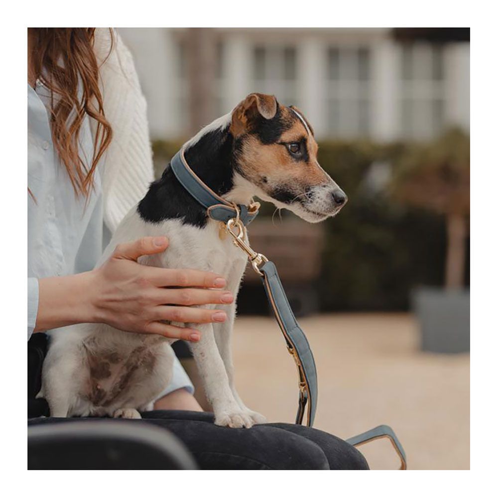 Kentucky CUIR VEGAN -  Collier pour chien navy/beige