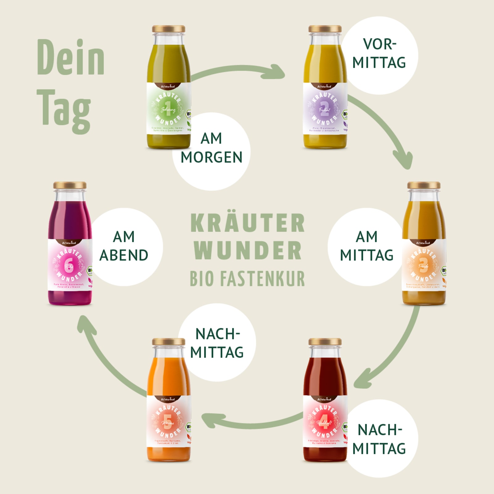 Kräuterwunder Bio Fastenkur 1 Tag (6 Flaschen)