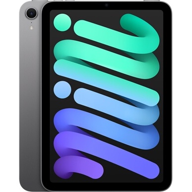 iPad Apple Mini 8,3