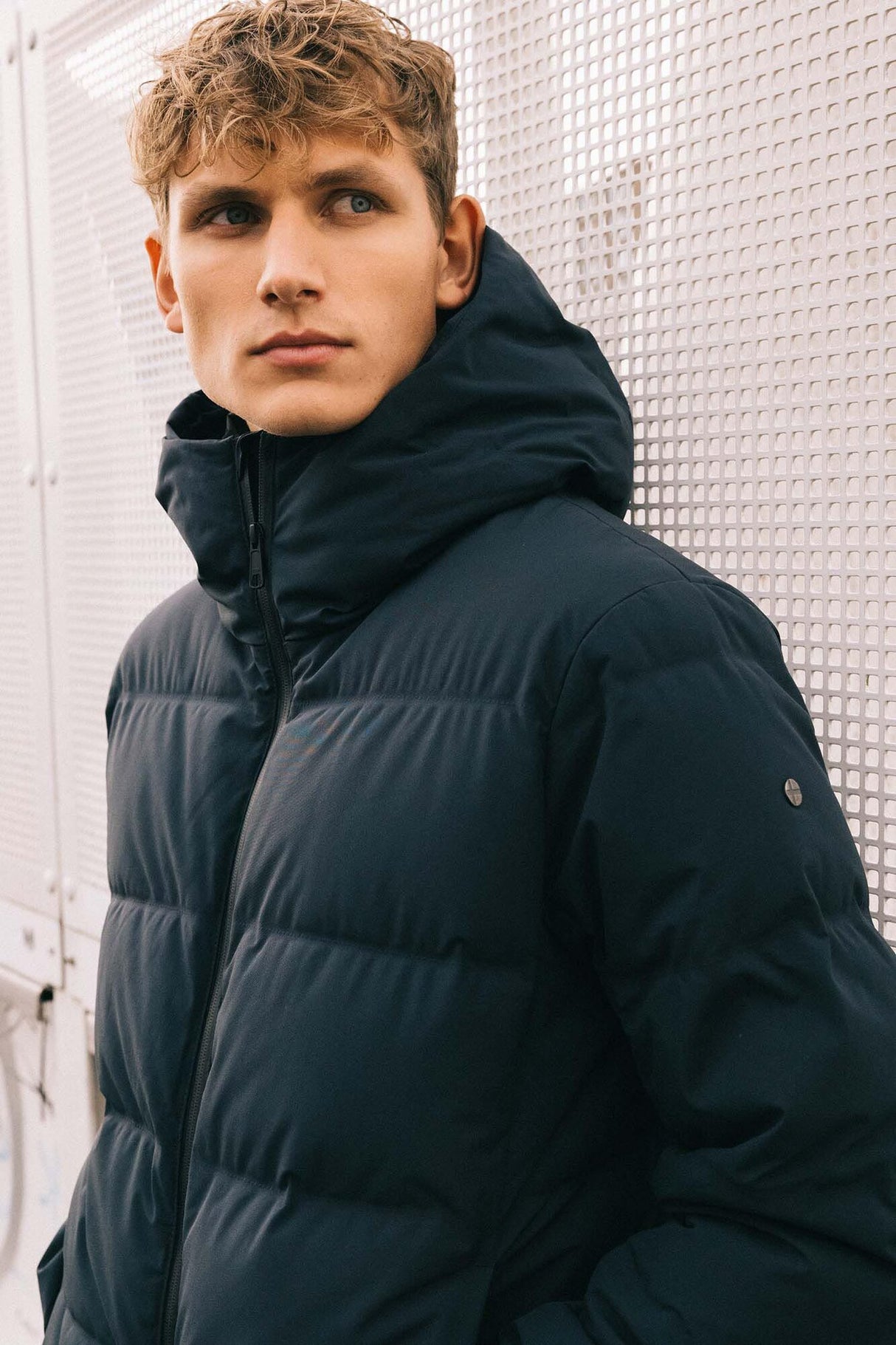 Scandinavian Edition<br>Torrent