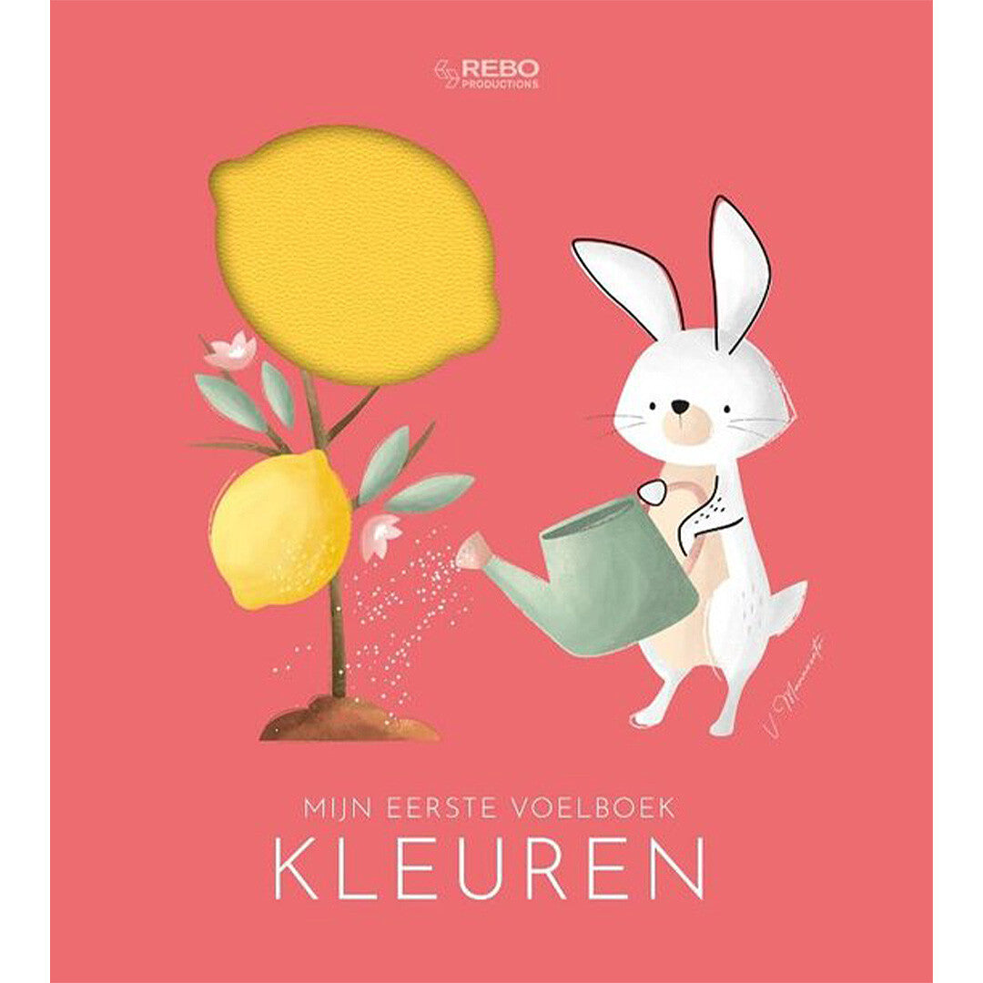 Uitgeverij rebo mijn eerste voelboek - kleuren