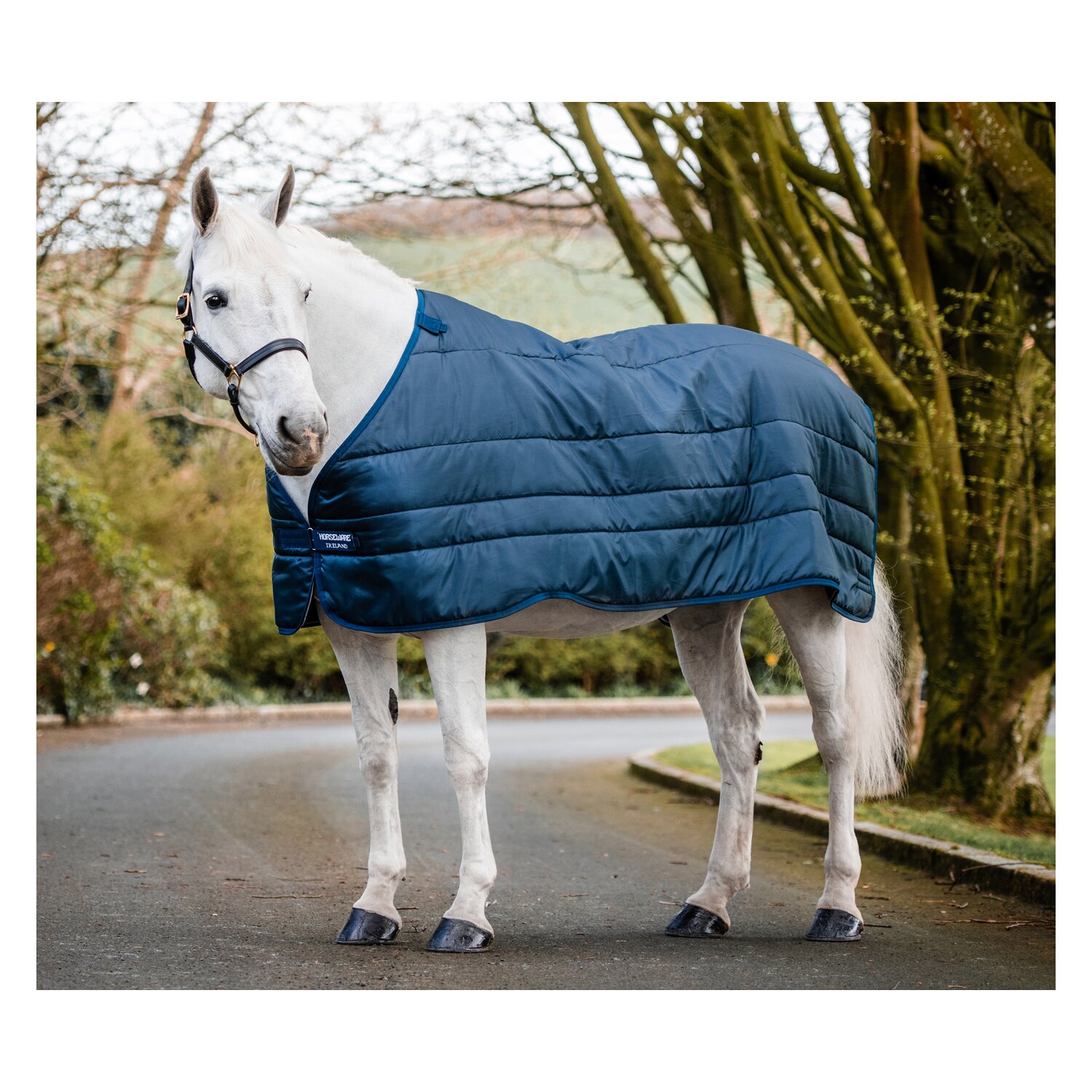 HORSEWARE Unterdecke XL-Liner 100 g - navy