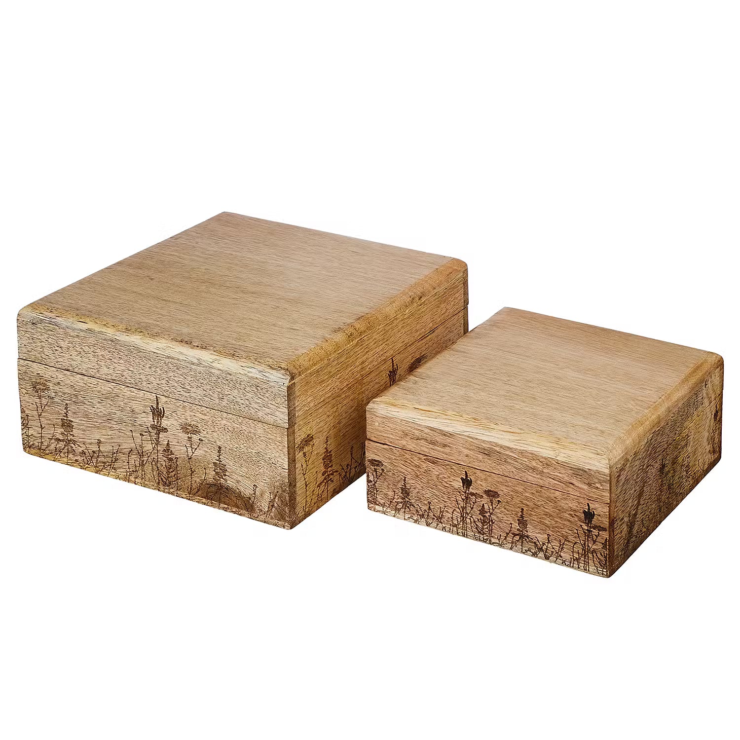 FLOWER BOX Truhe