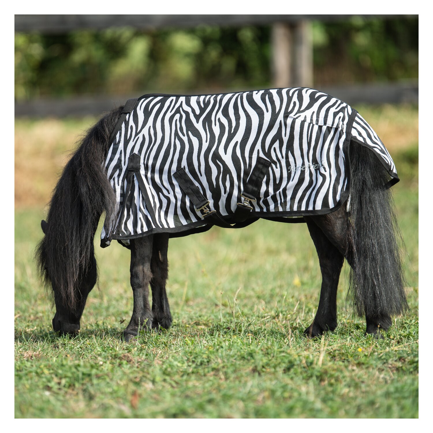 Horse-friends Fliegendecke für Shetty und Pony  - zebra