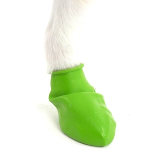 Botas para cães Pawz de borracha natural, verdes
