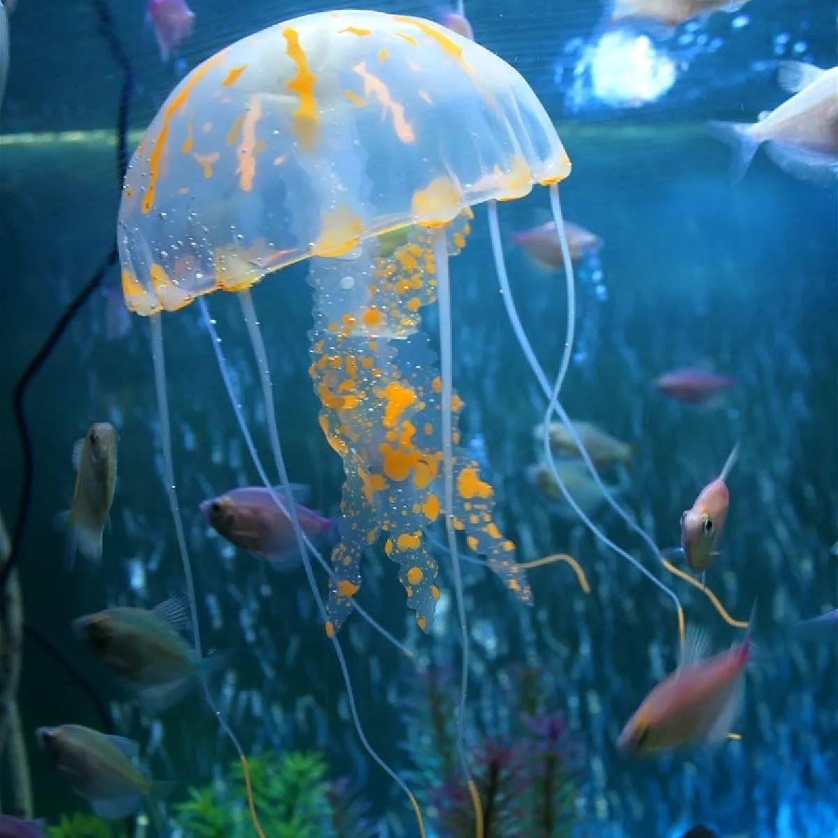 Wewoo Décoration aquarium Orange Méduses Fluorescentes 3PCS