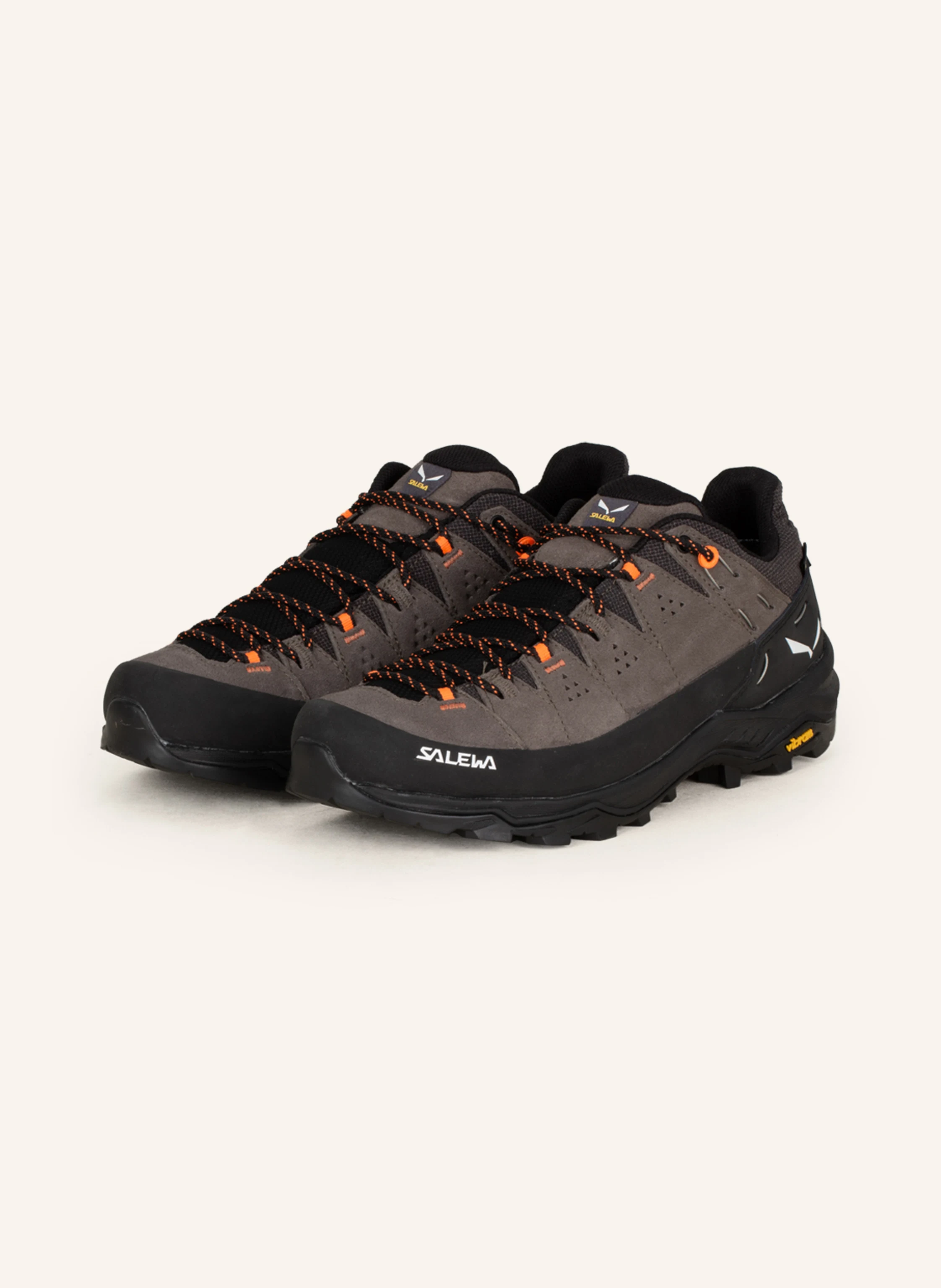 SALEWA Wanderschuhe ALP TRAINER 2 GTX