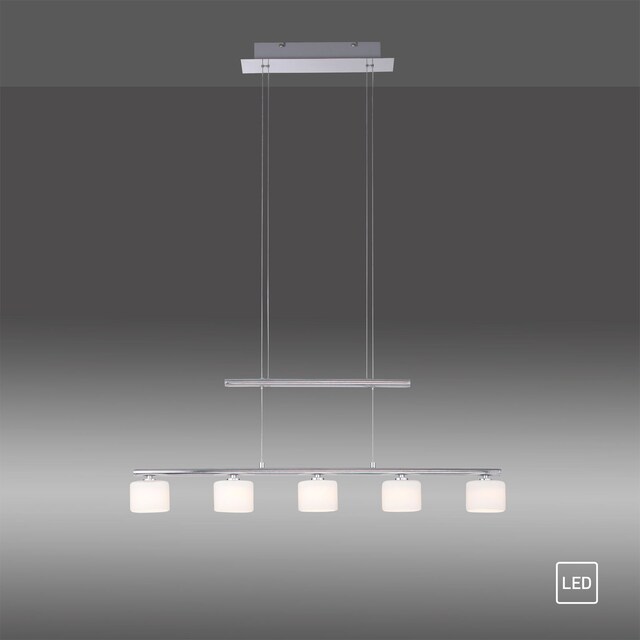 Paul Neuhaus LED Pendelleuchte HYDRA 5-flg stahlfarbig
