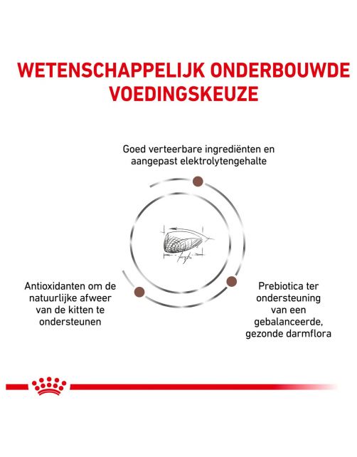 Royal Canin Veterinary Diet Gastro Intestinal Kitten - Kattenvoer
