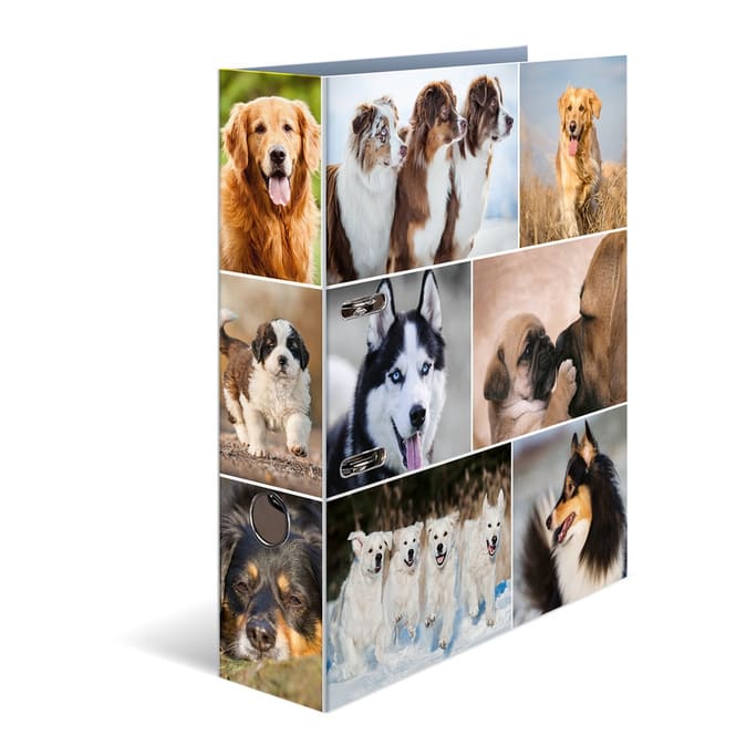 Ordner DIN A4 - Herma - Hunde