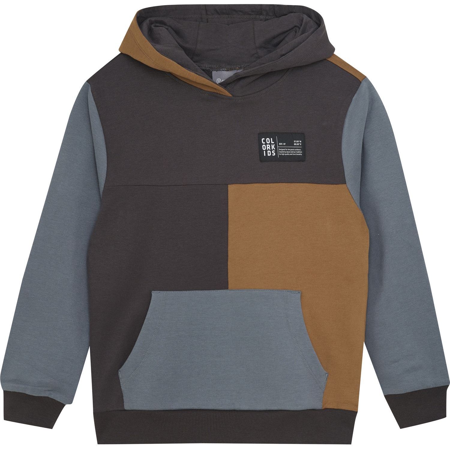 Color KidsSweat Hoodie Colorblock