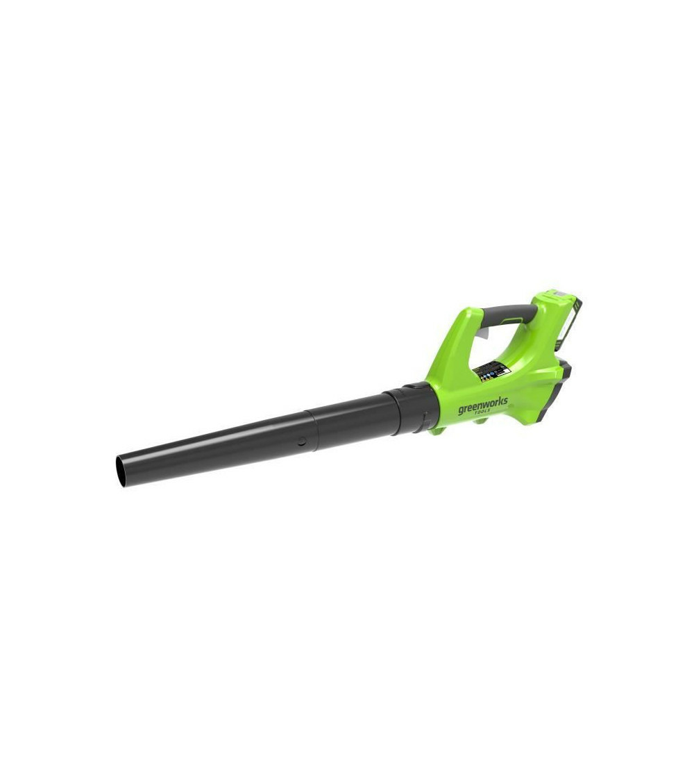Souffleur greenworks 24v - 1 batterie 2.0 ah - 1 chargeur - g24abk2