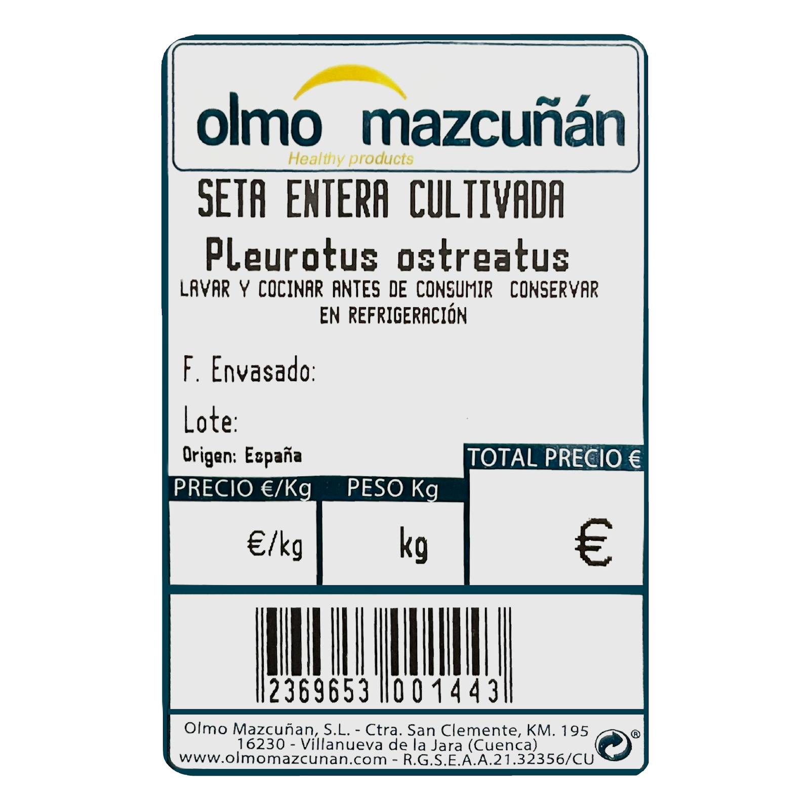 Champignons