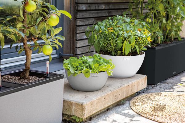 LECHUZA® Kunststoff-Schale 'Cubeto Stone',
