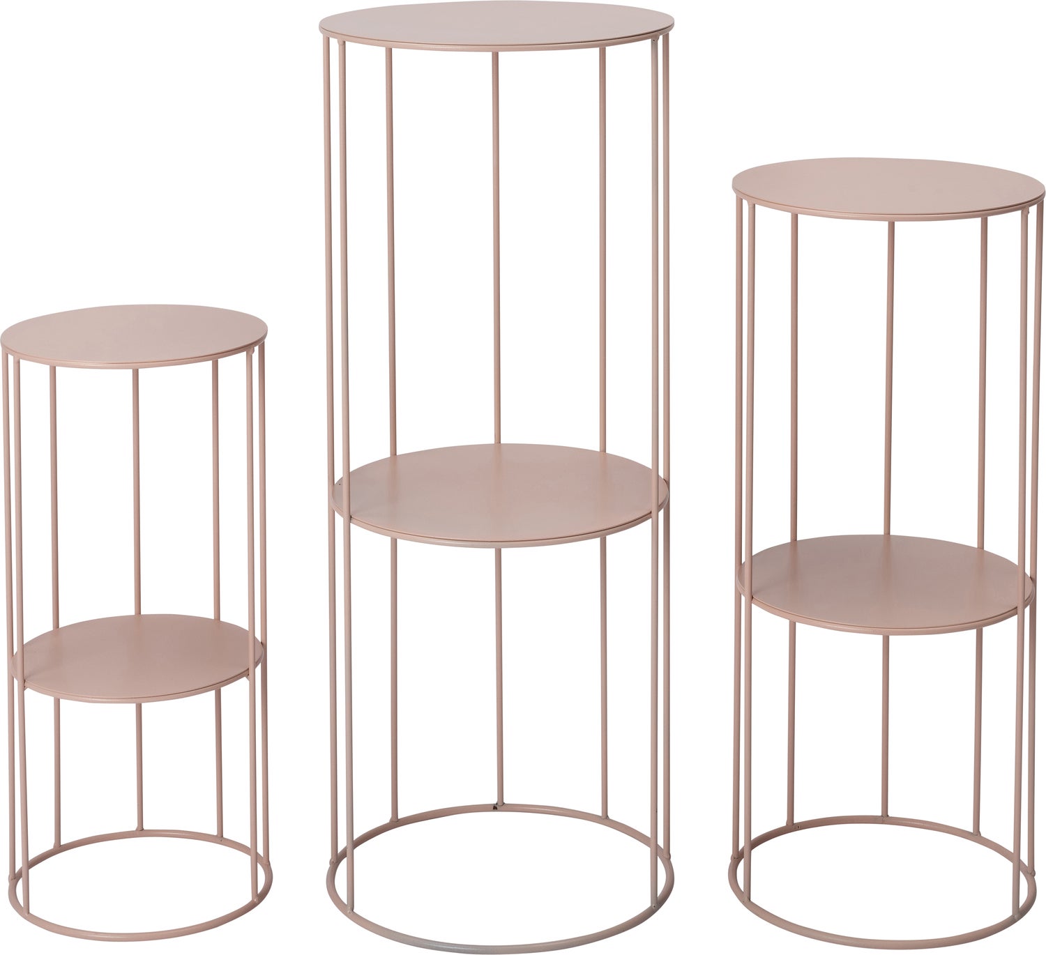 Intratuin plantentafel Myrica roze D 21 H 45 cm
