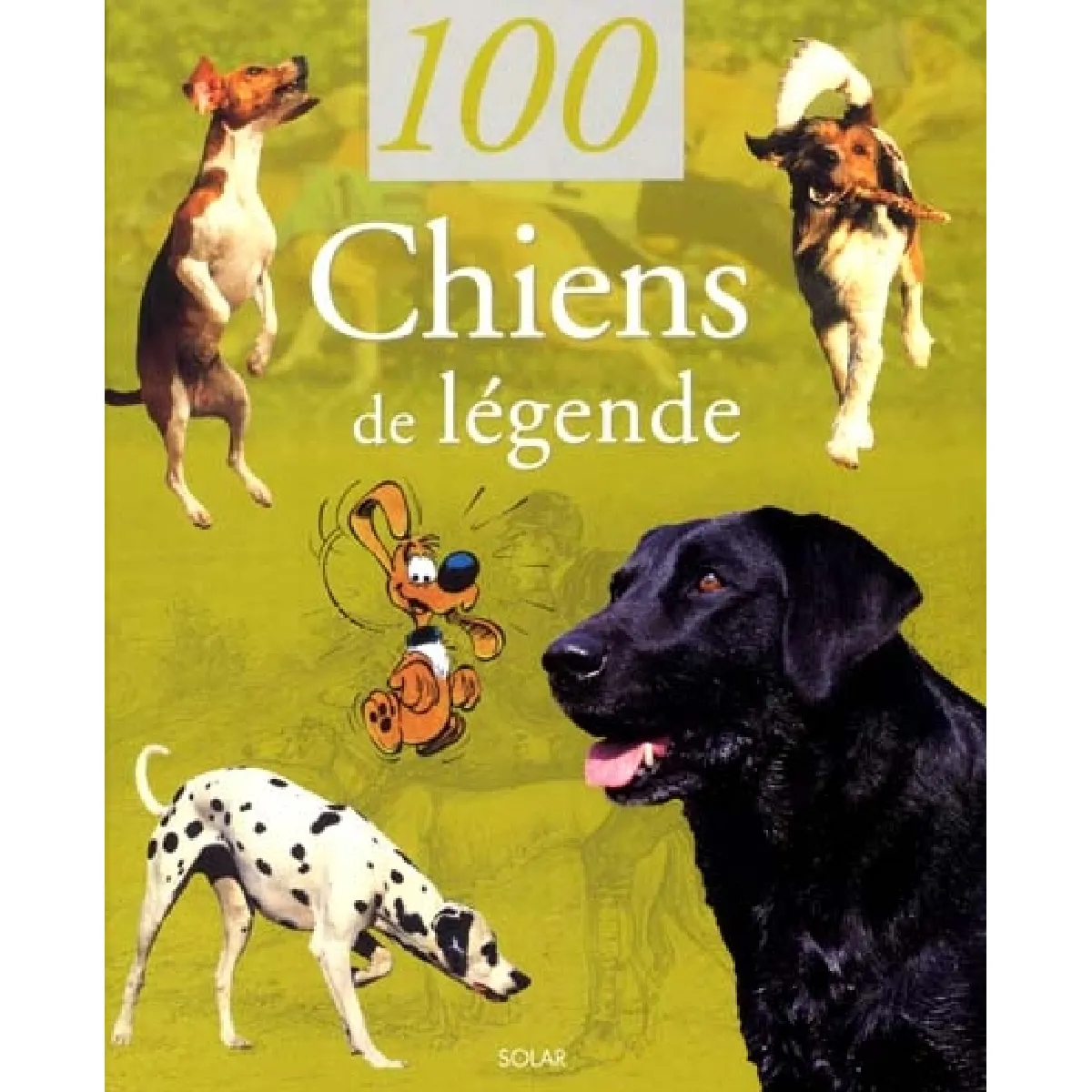 100 chiens de légende · Occasion