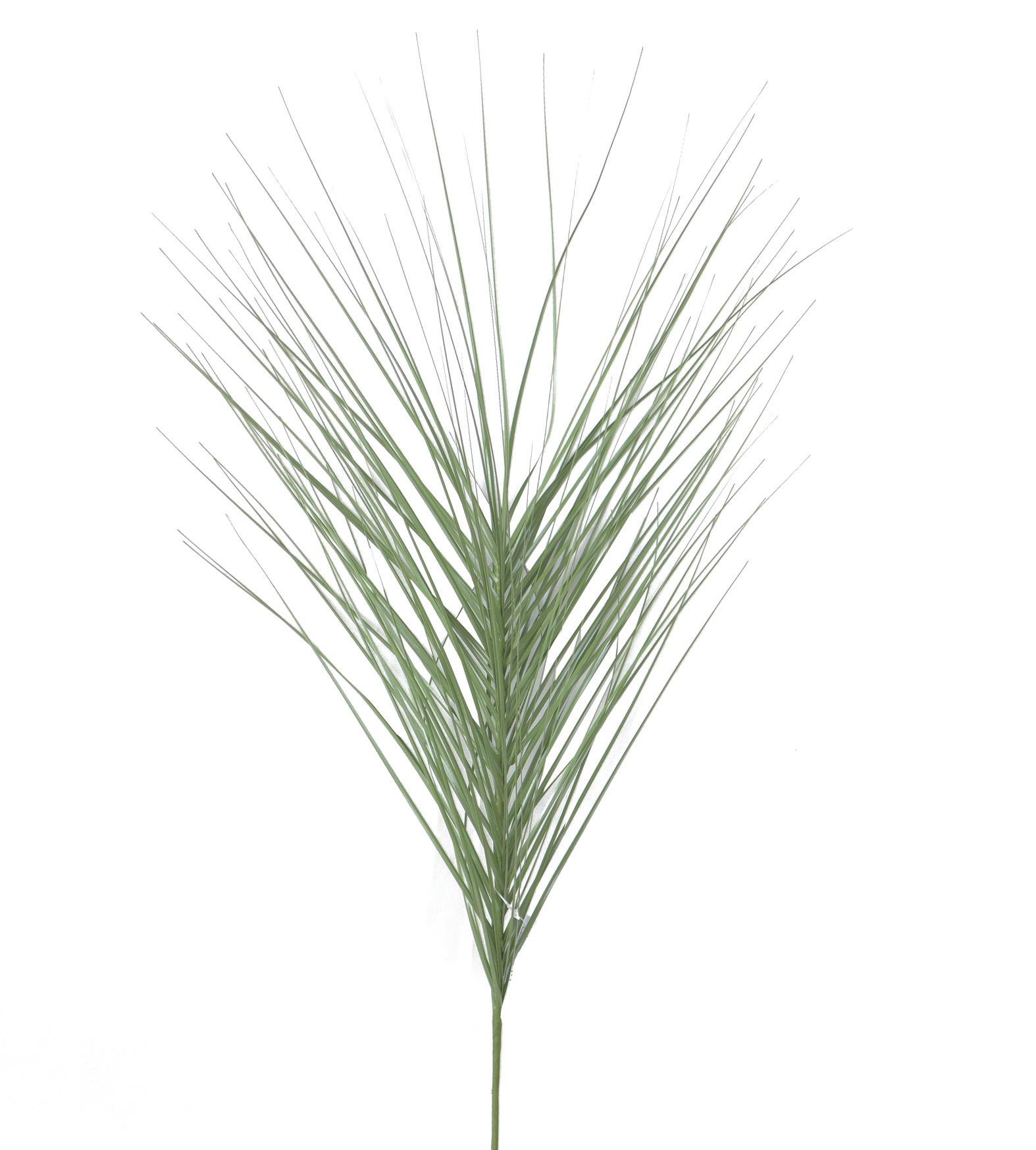 TIGE HERBE H.90CM