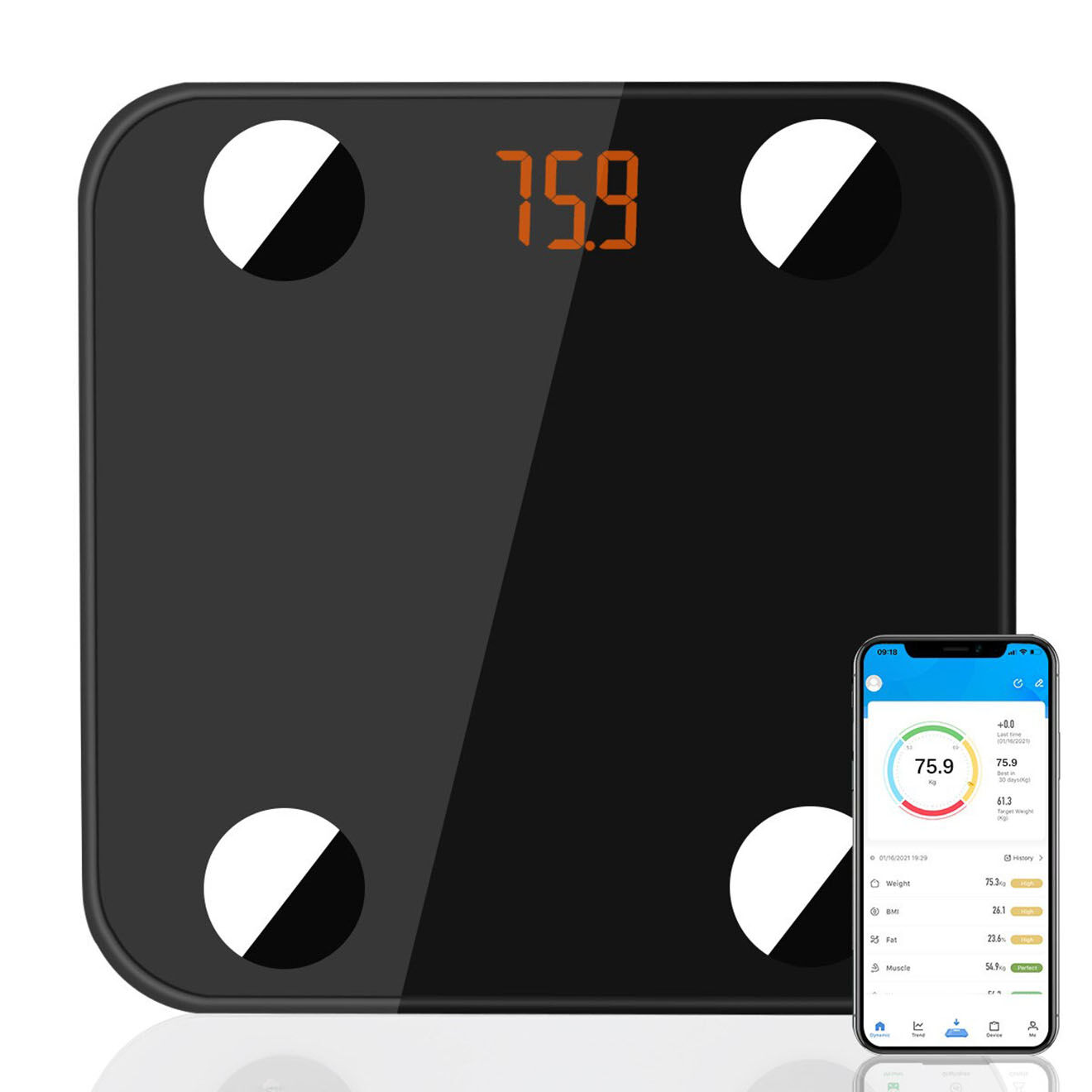 Paloma Beauties Balance numérique bluetooth noire
