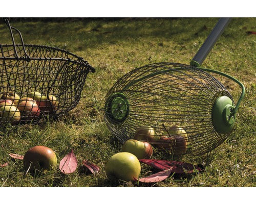 Noten- en fruitverzamelaar voor_q, telescopisch 110-165 cm