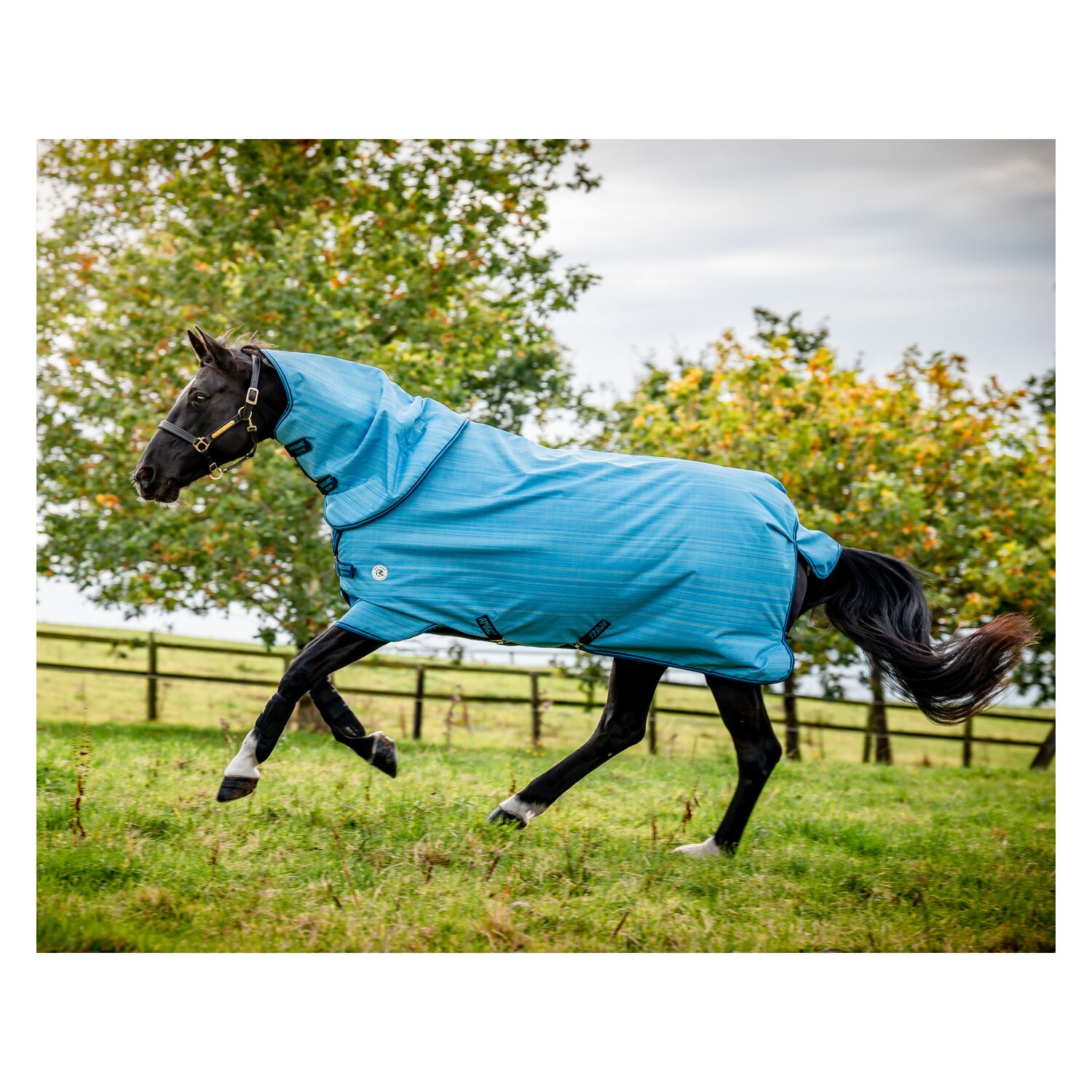 HORSEWARE Outdoordecke AMIGO Hero 900 Revieve plus 50 g - oceanblue