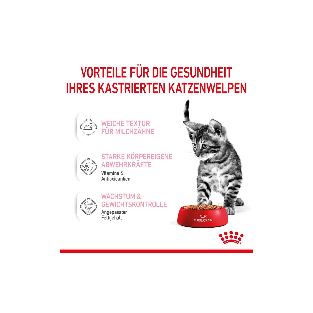 ROYAL CANIN KITTEN STERILISED in Soße 12 x 85g