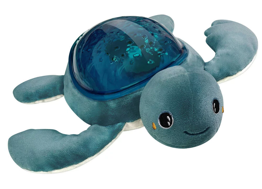 AQUA DREAM PROJECTEUR EFFETS AQUATIQUES
