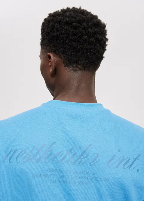 T-shirt met print merk blauw (BLW.L)