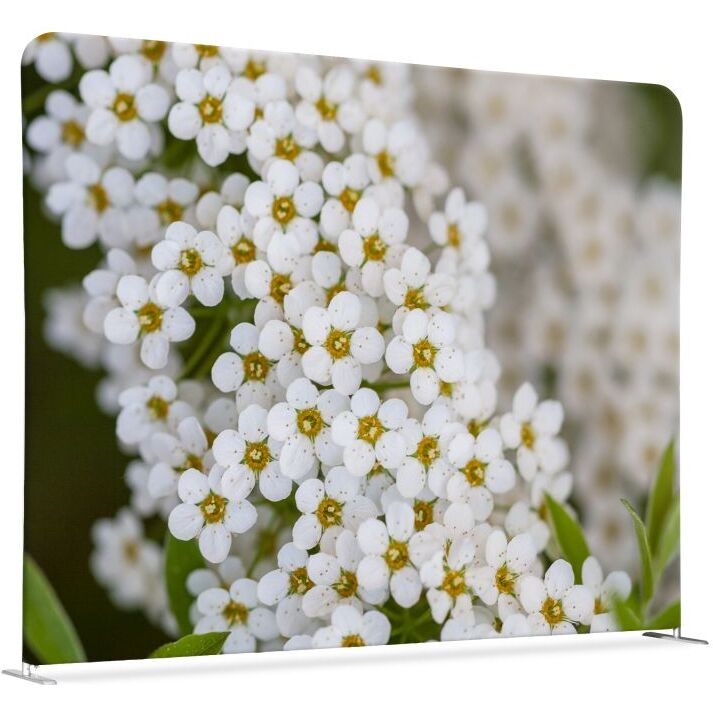 Cloison horizontale double en tissu motif fleur de Spirée blanche