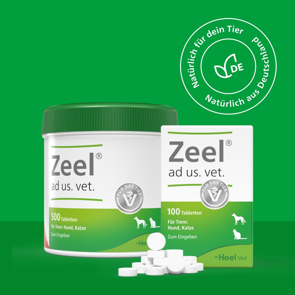 Zeel® ad us. vet Tabletten