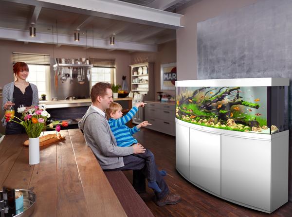 JUWEL® AQUARIUM Kombination Vision 450 LED,