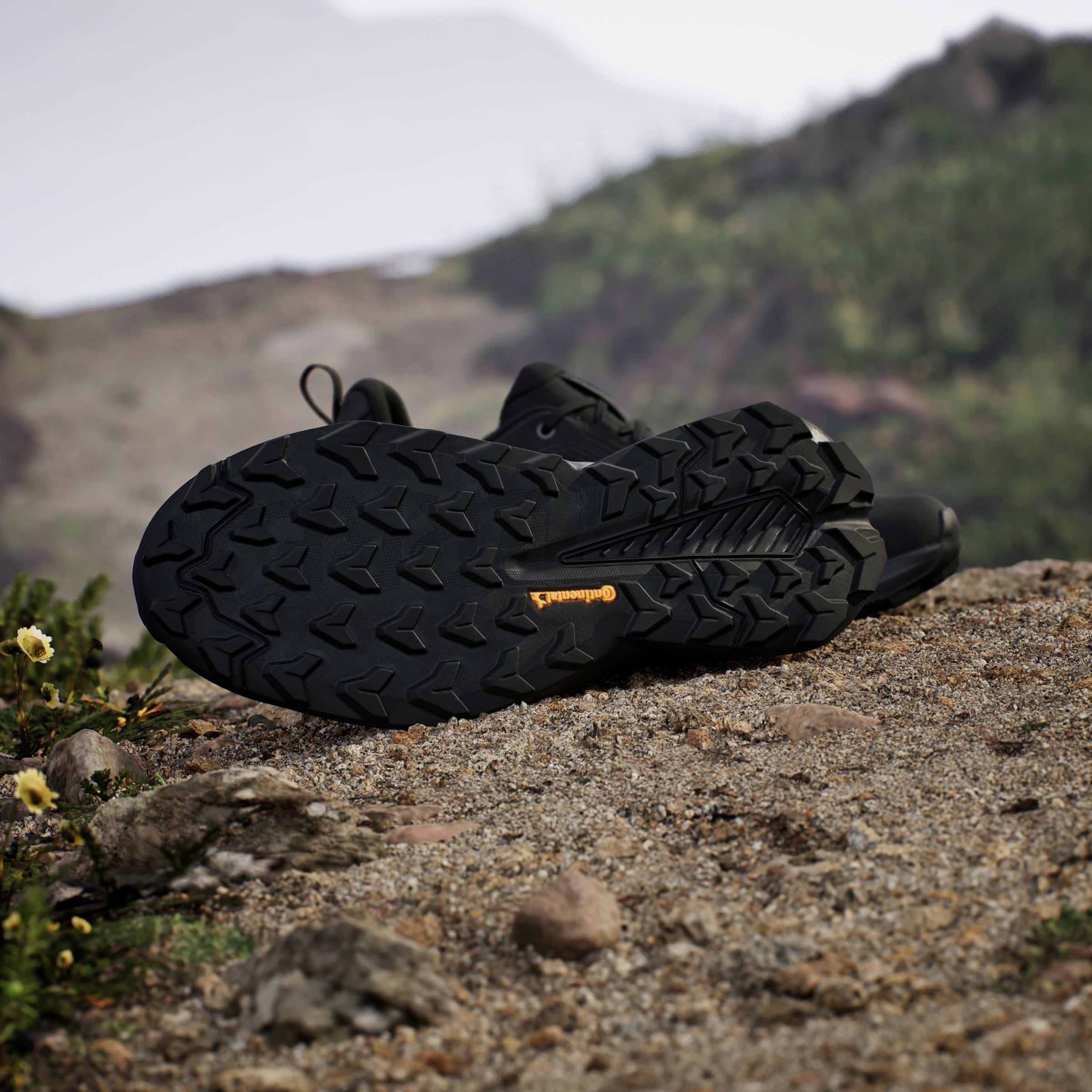 adidas TERREX Wanderschuh »TERREX TRAILMAKER 2 GORE-TEX«  wasserdicht