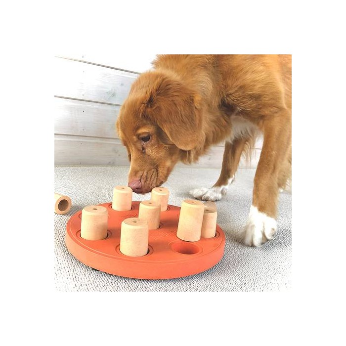 Dog Smart Composite