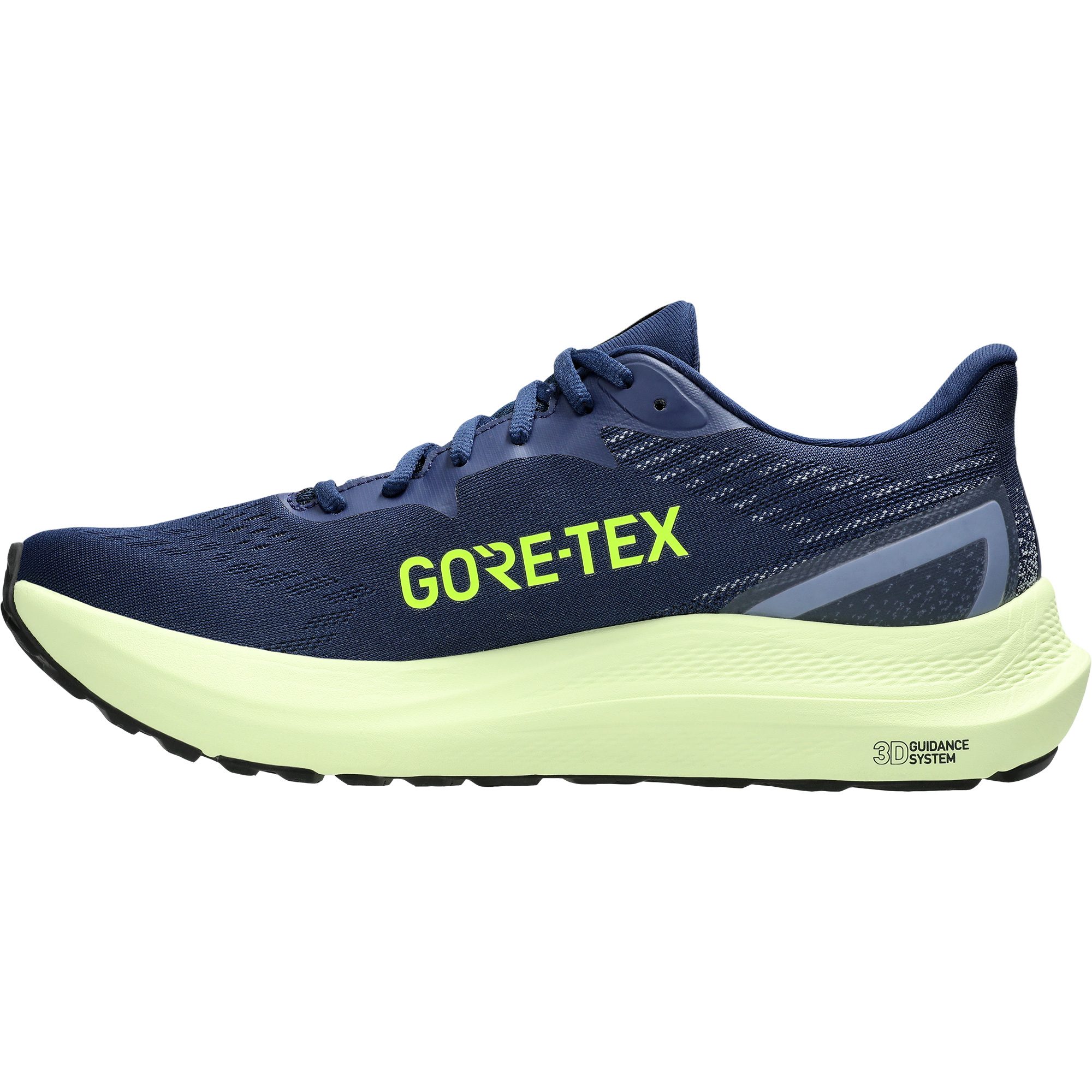 ASICS GT-2000 12 GORE-TEX® Laufschuhe Herren blue expanse