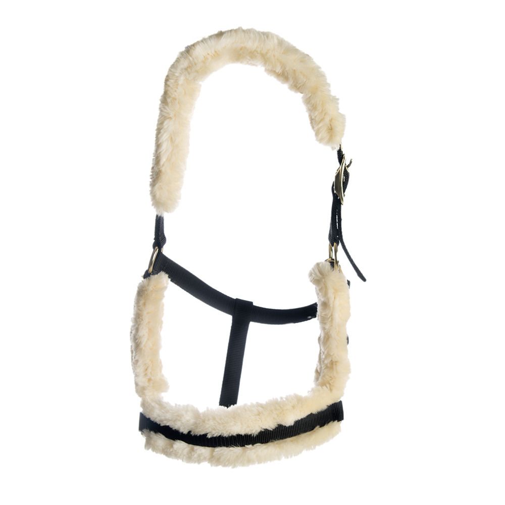 Kentucky NYLON MOUTON - Licol naturel