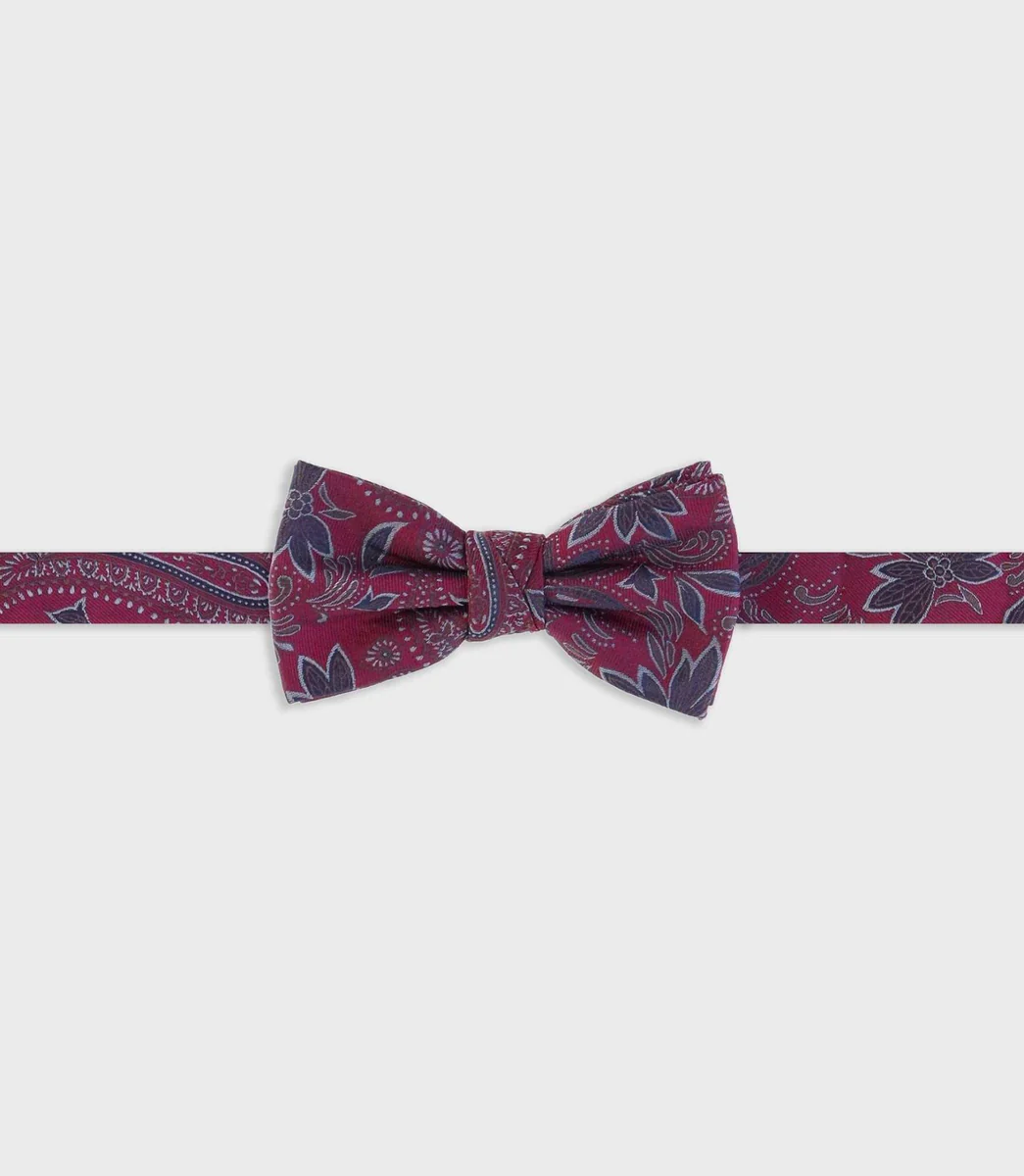 Noeud papillon bordeaux TAZIO
