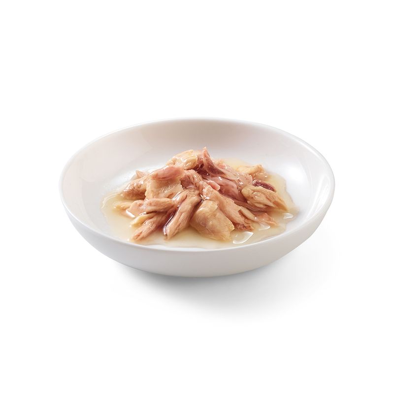 Schesir Natural en sauce 24 x 70 g