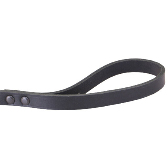 Laisse simple en cuir pour chien 1 m